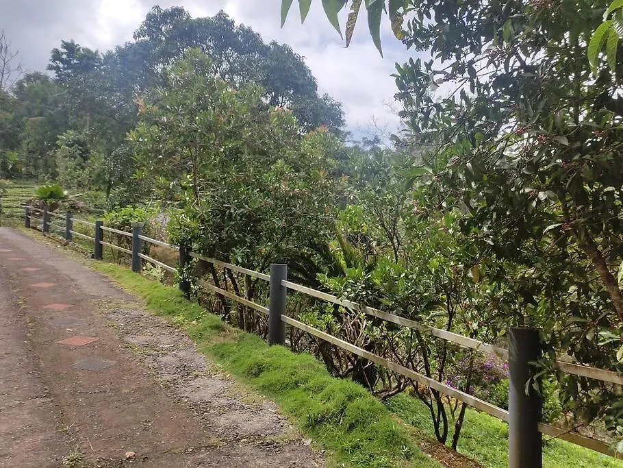 Pepper Glen Powathu Villa Idukki