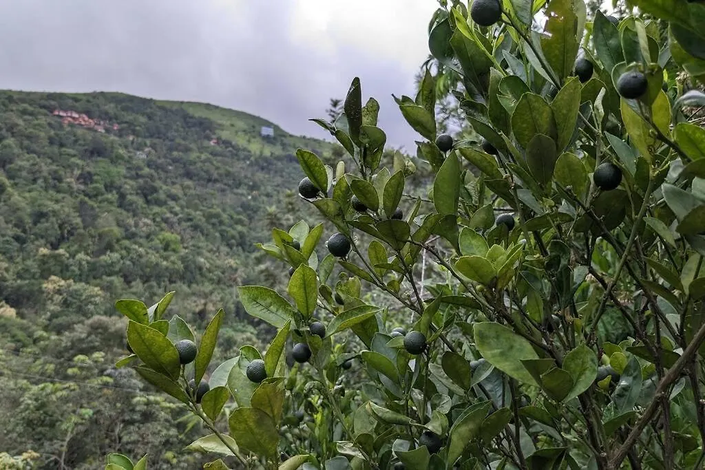 Pepper Glen Powathu Villa Idukki Holiday home